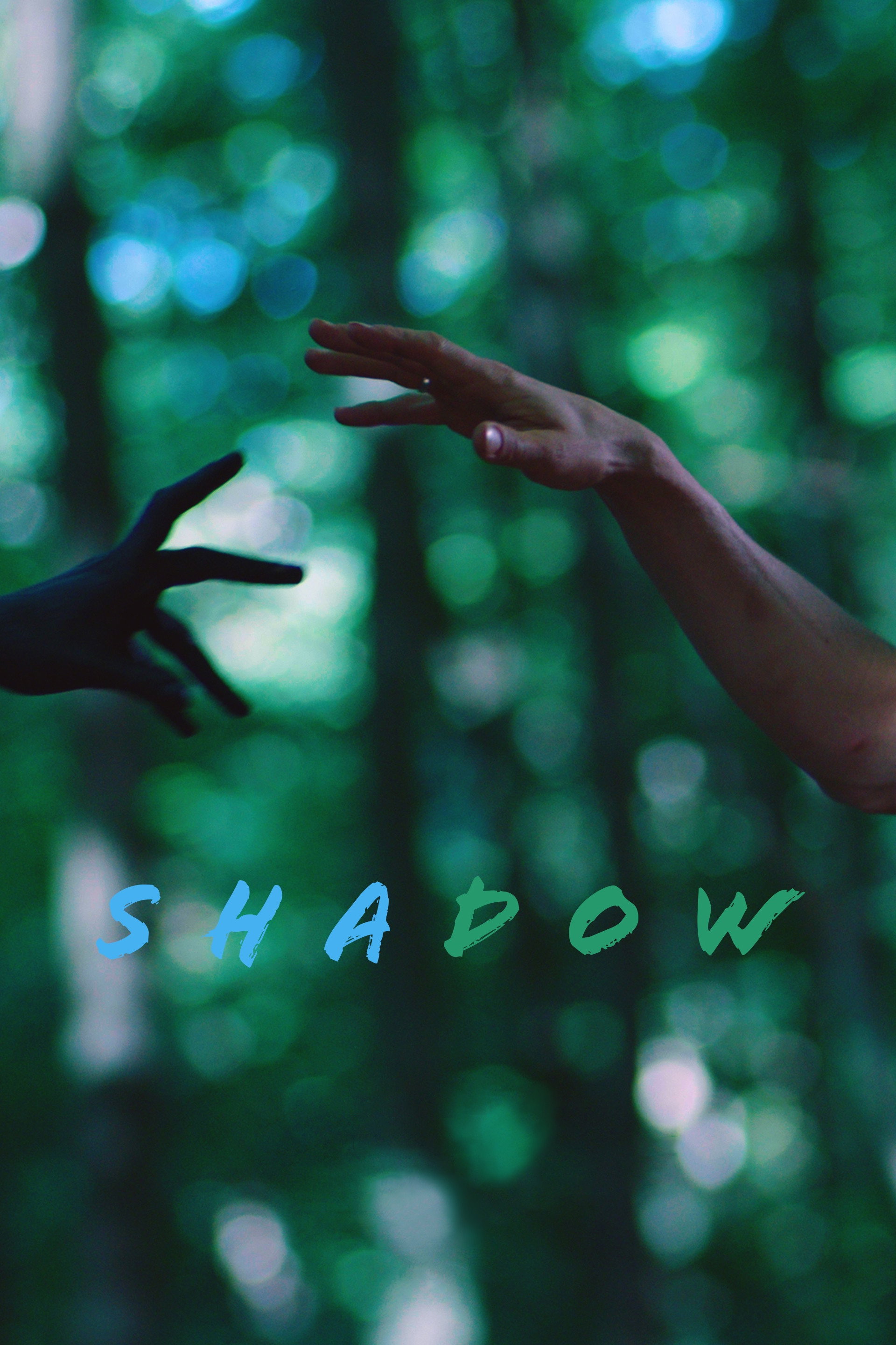 Shadow (2022) poster