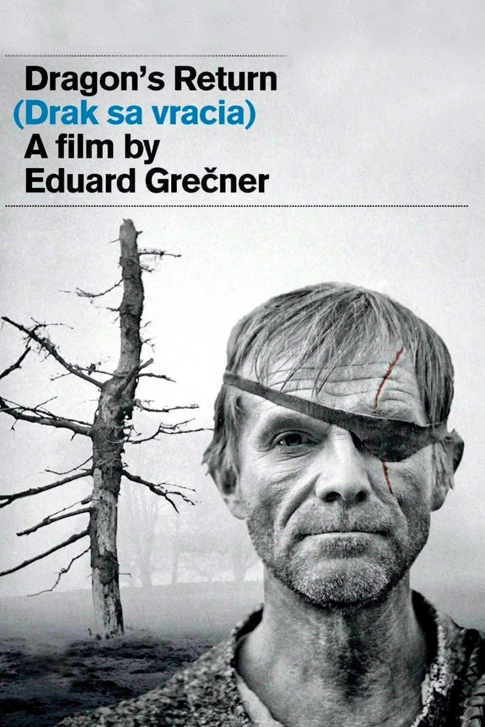 Dragon's Return (1968) poster