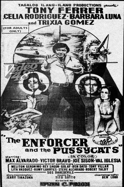 The Enforcer and the Pussycats (1977) poster