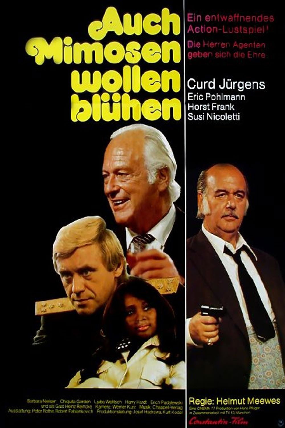 Auch Mimosen wollen blühen (1976) poster