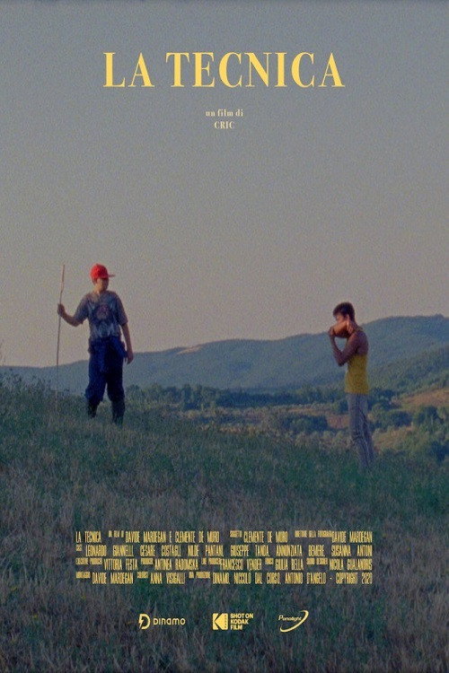 The Technique (2020) poster