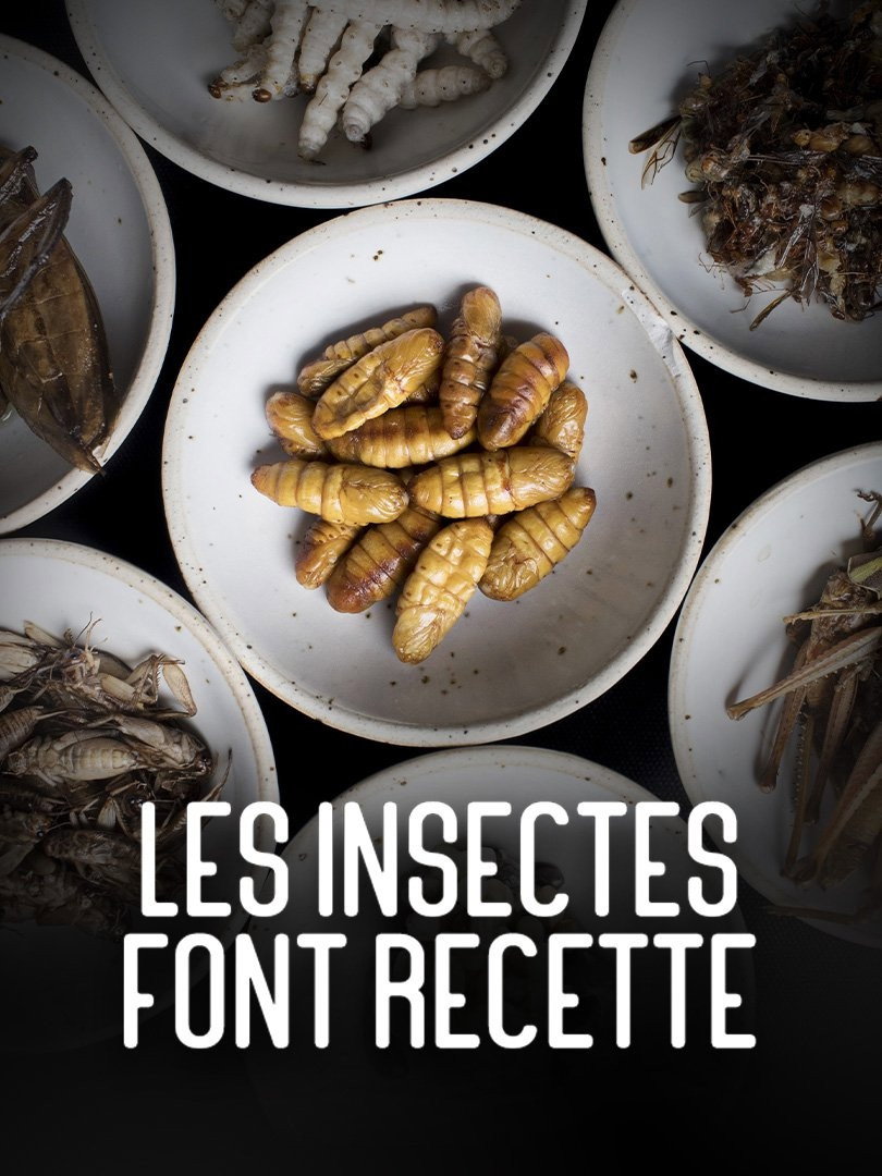 Les insectes font recette (2021) poster