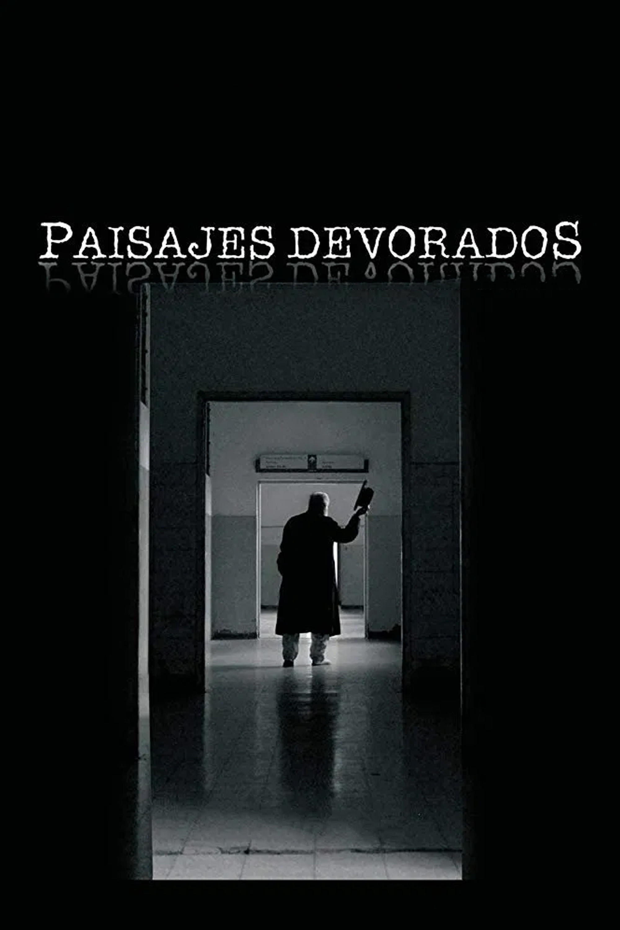 Vanishing Landscapes (2013) poster