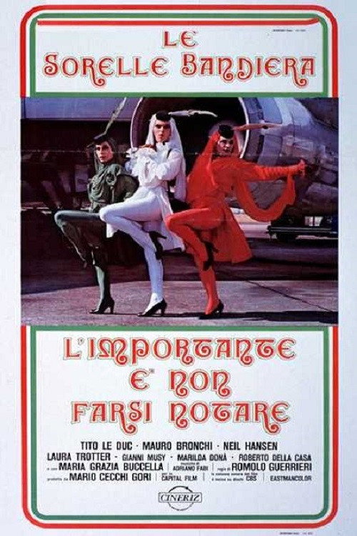 L'importante è non farsi notare (1979) poster