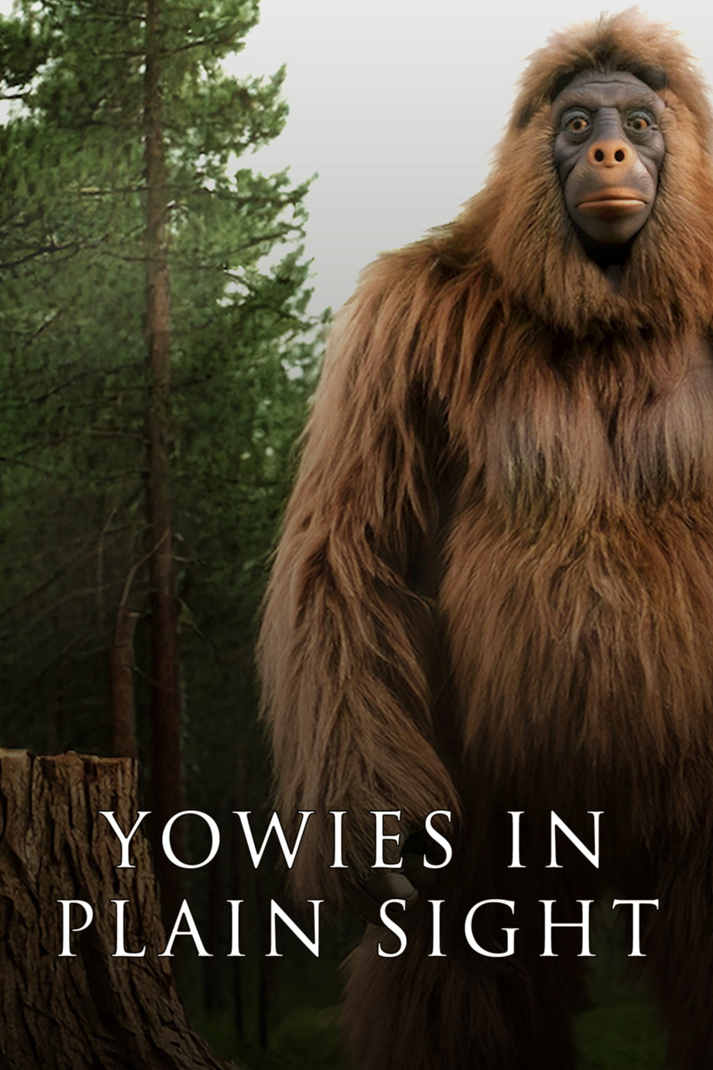 Yowies in Plain Sight (2026) poster