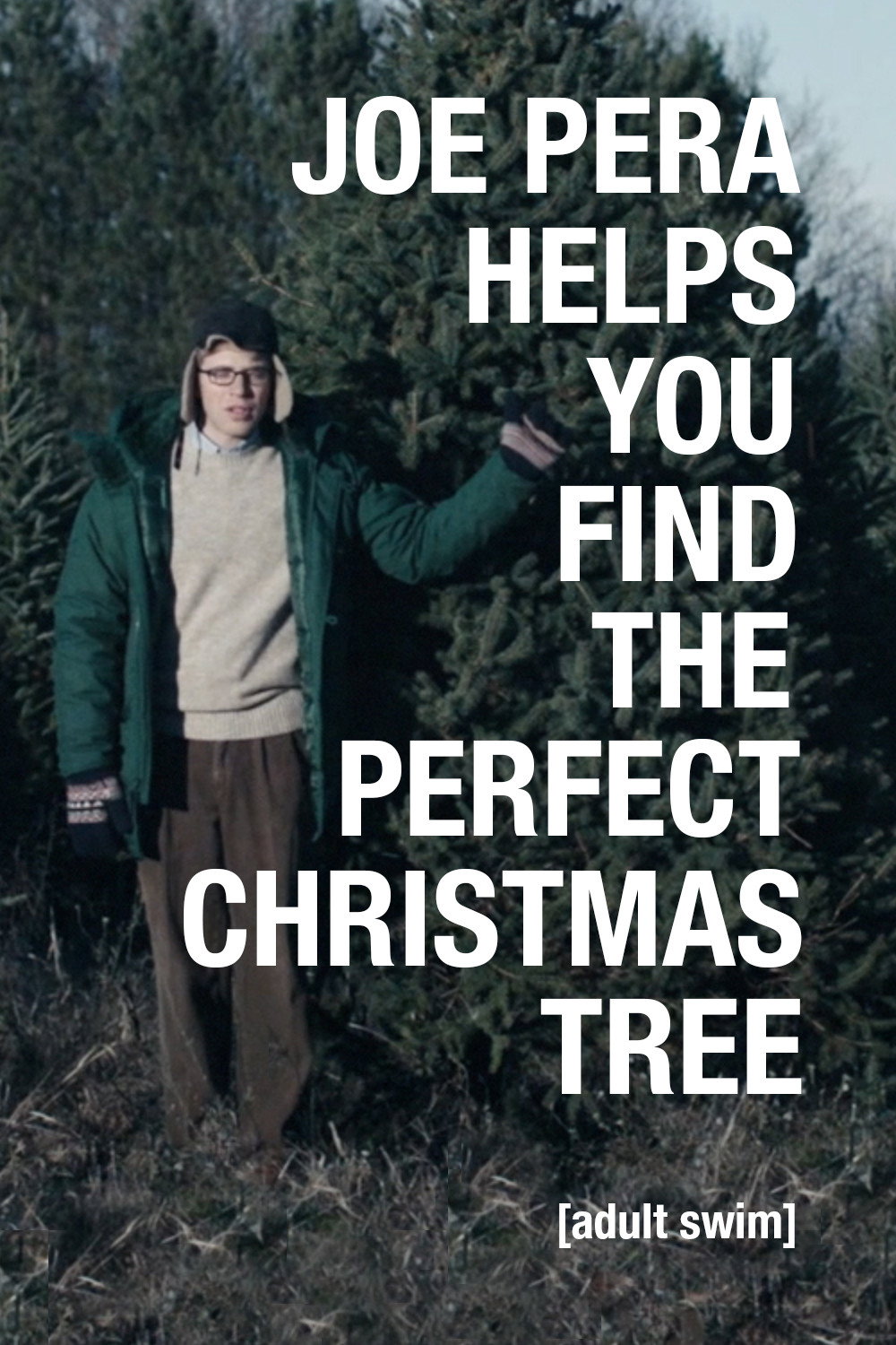 Joe Pera Helps You Find the Perfect Christmas Tree (2016) poster