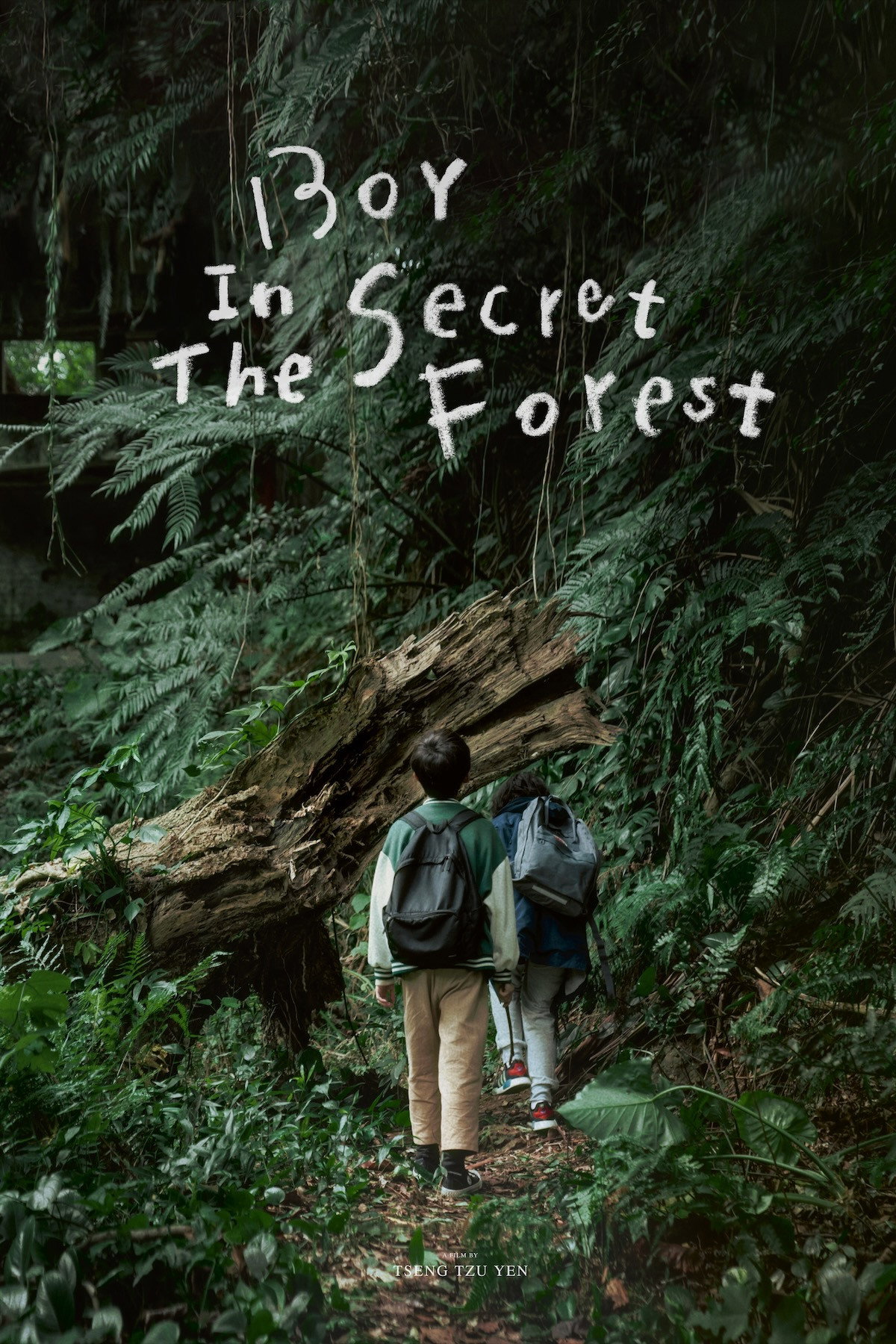Boy in the Secret Forest (2024) poster
