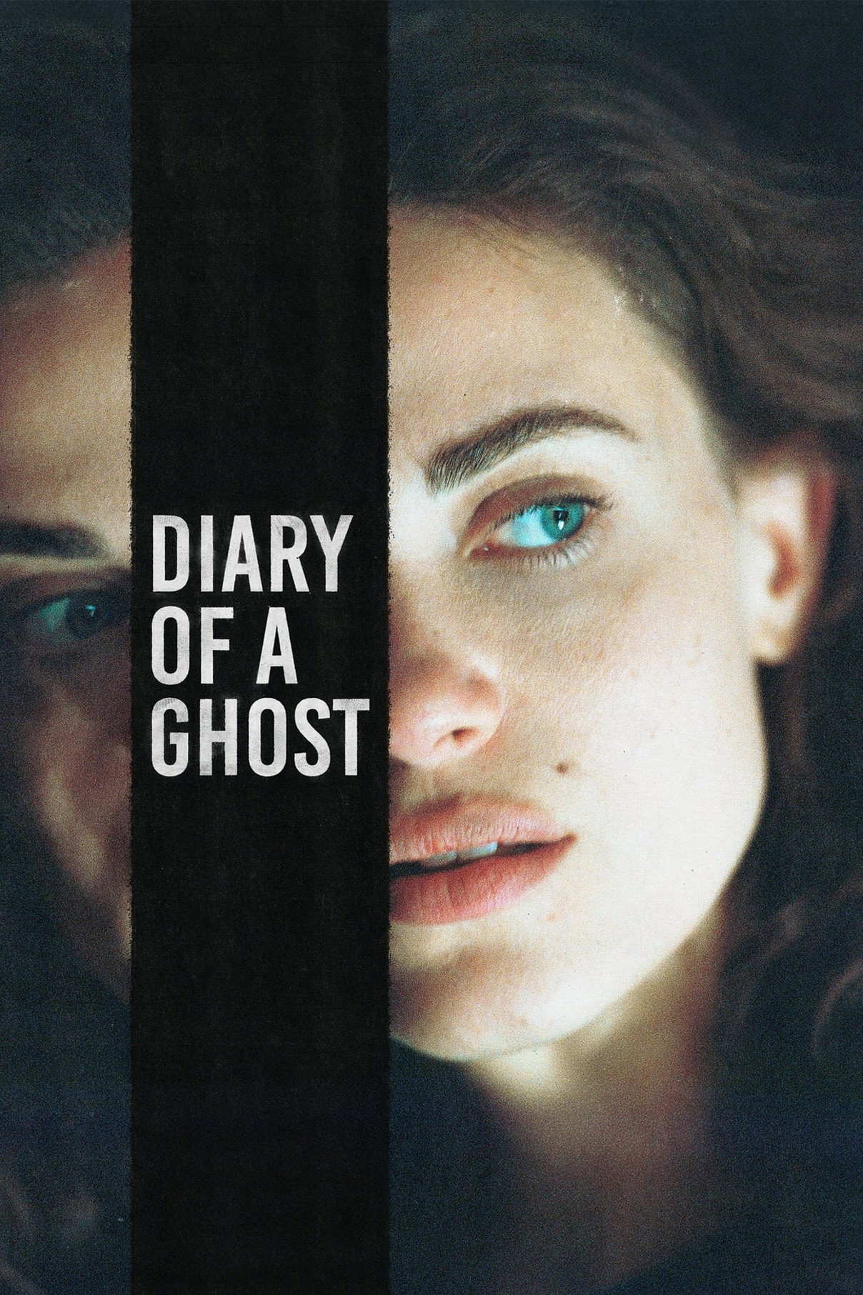 Diary of a Ghost (2026) poster