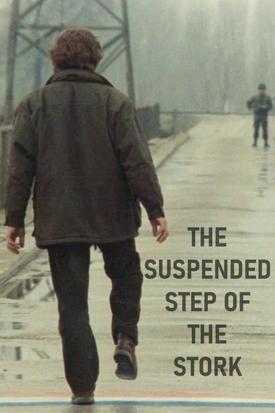 The Suspended Step of the Stork (1991) poster