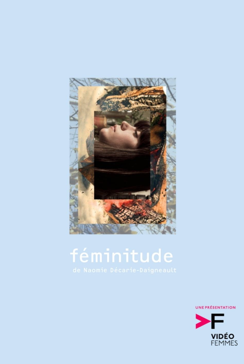 Féminitude (2011) poster