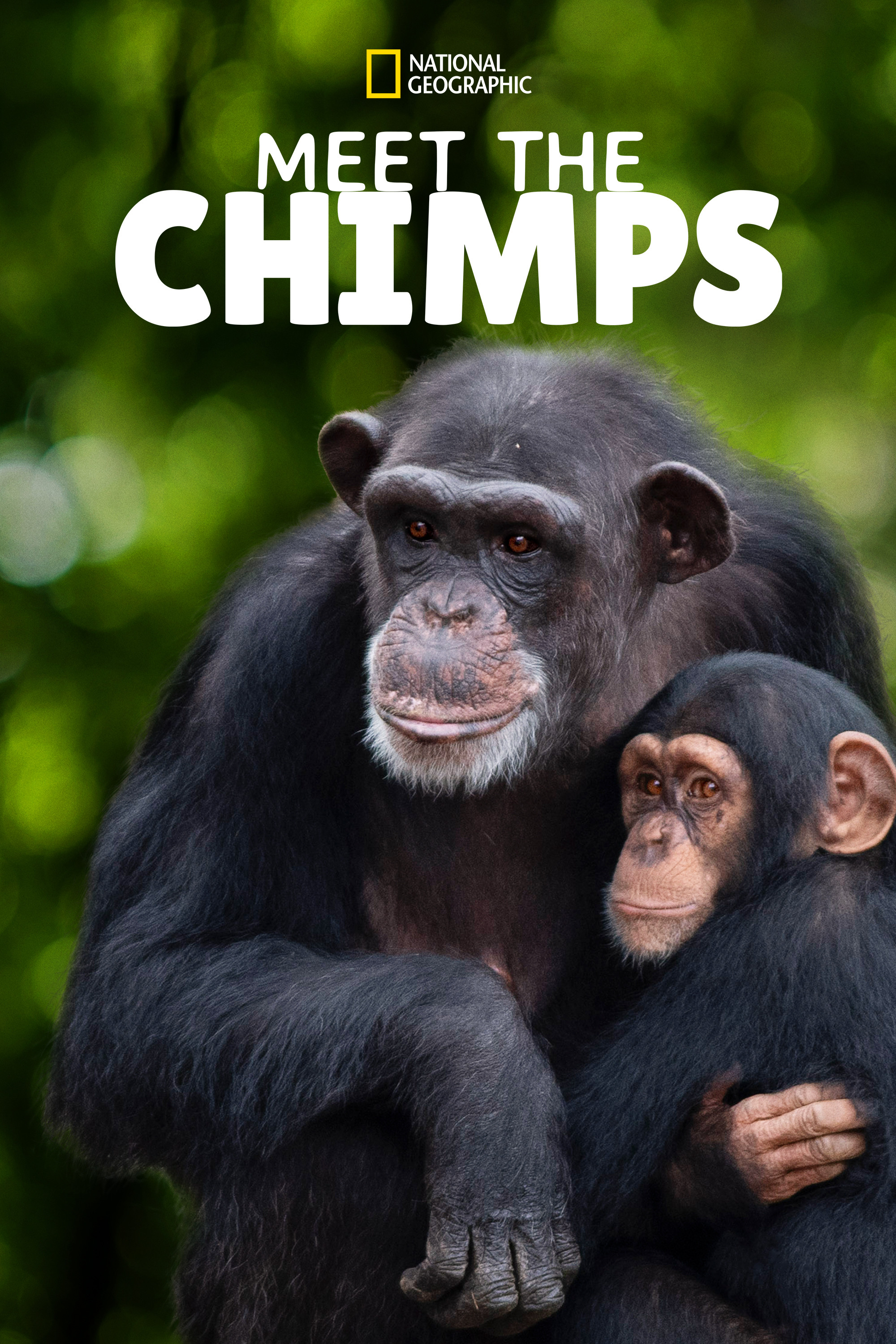 Meet the Chimps (2020) poster