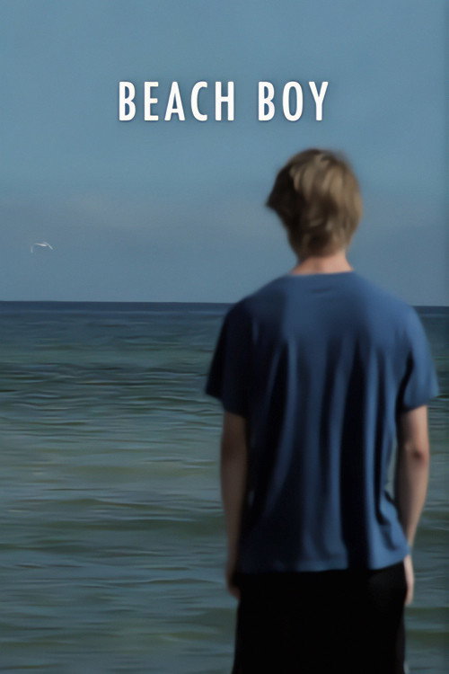 Beach Boy (2011) poster