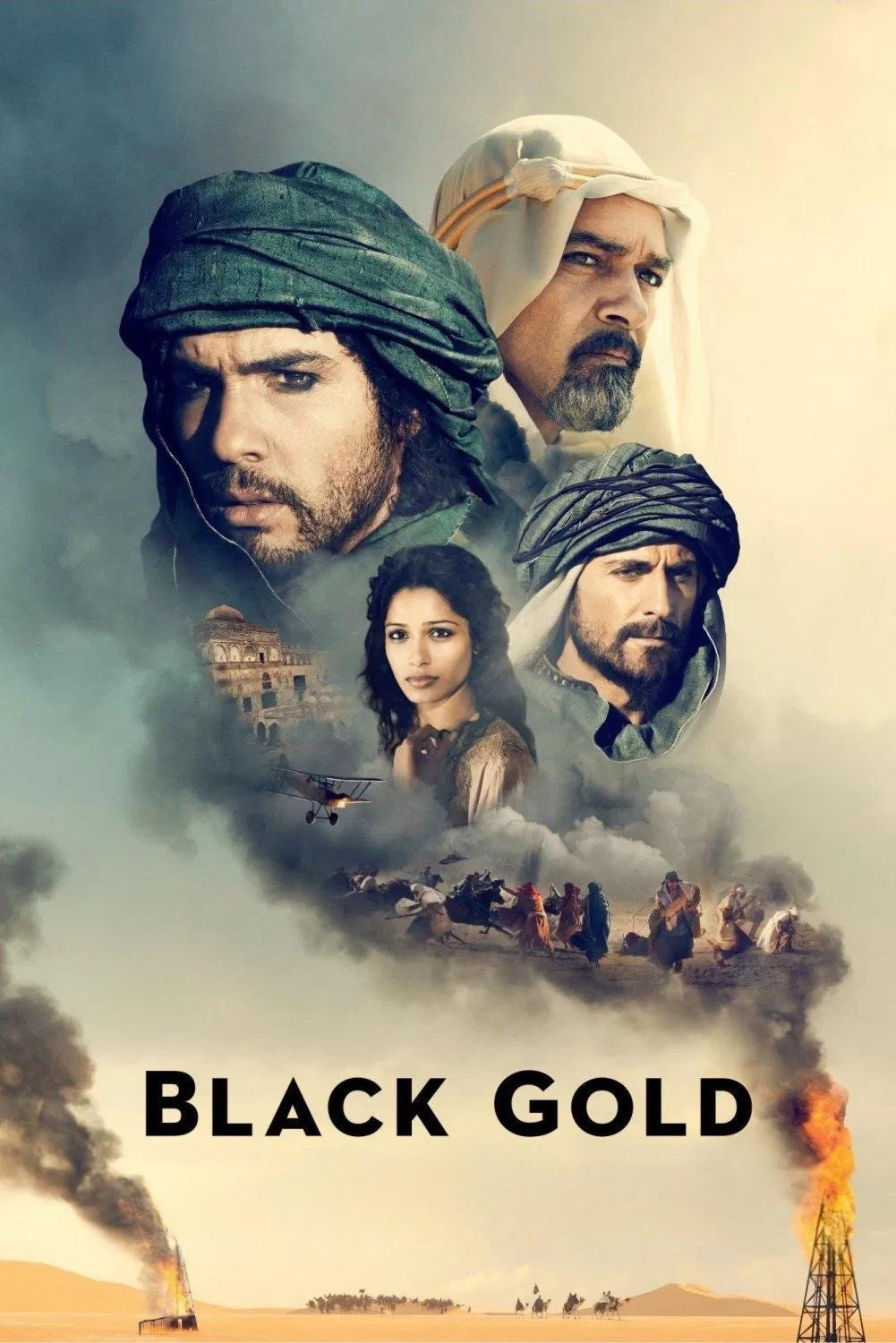 Black Gold (2011) poster