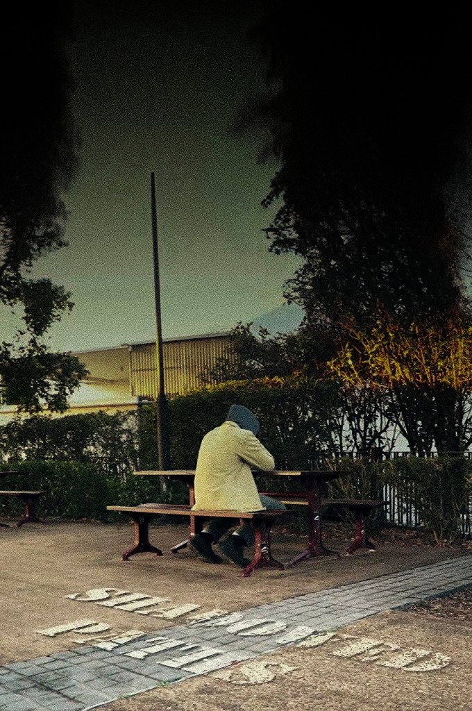 Shadowed Paths (2024) poster