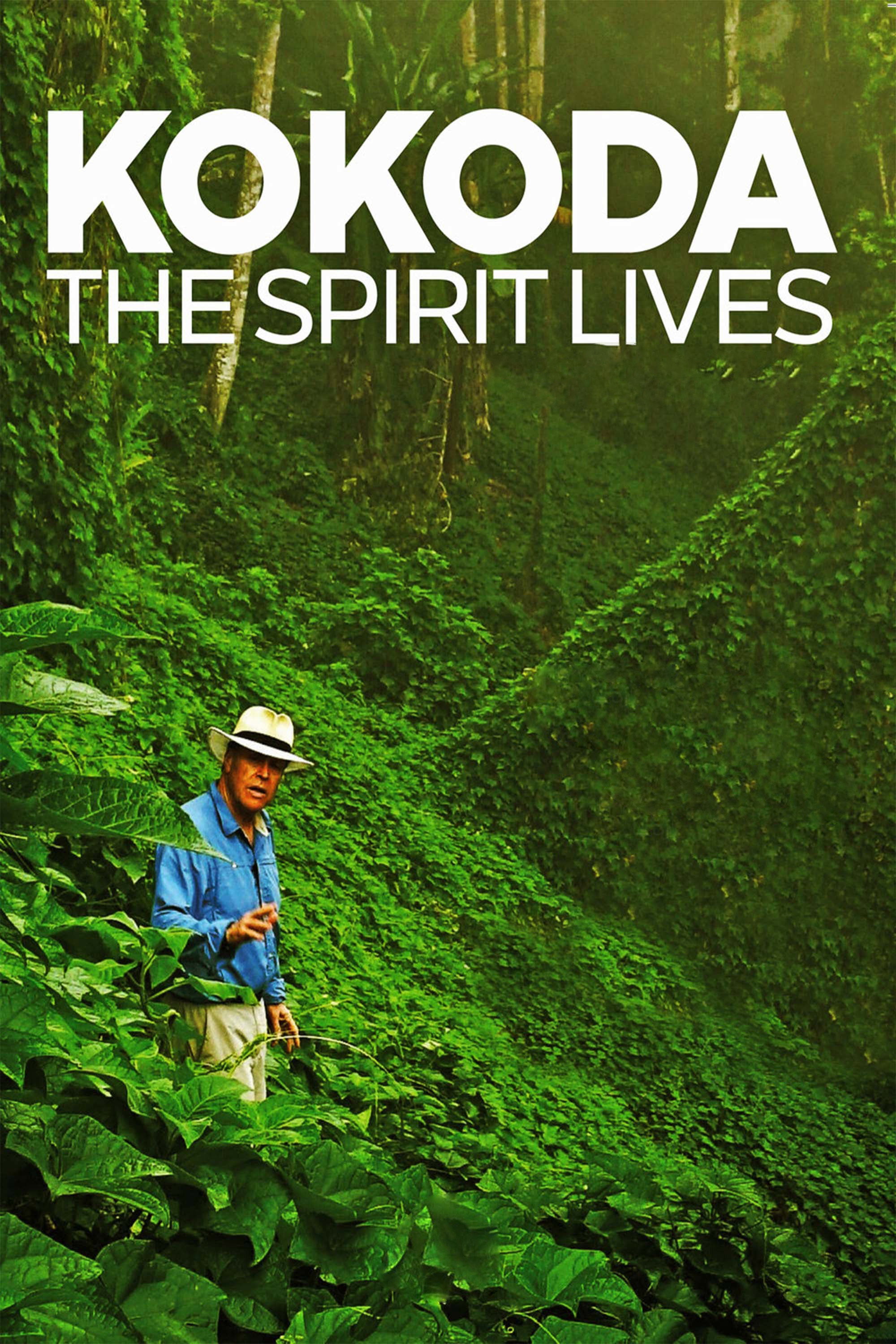 KOKODA: The Spirit Lives (2017) poster