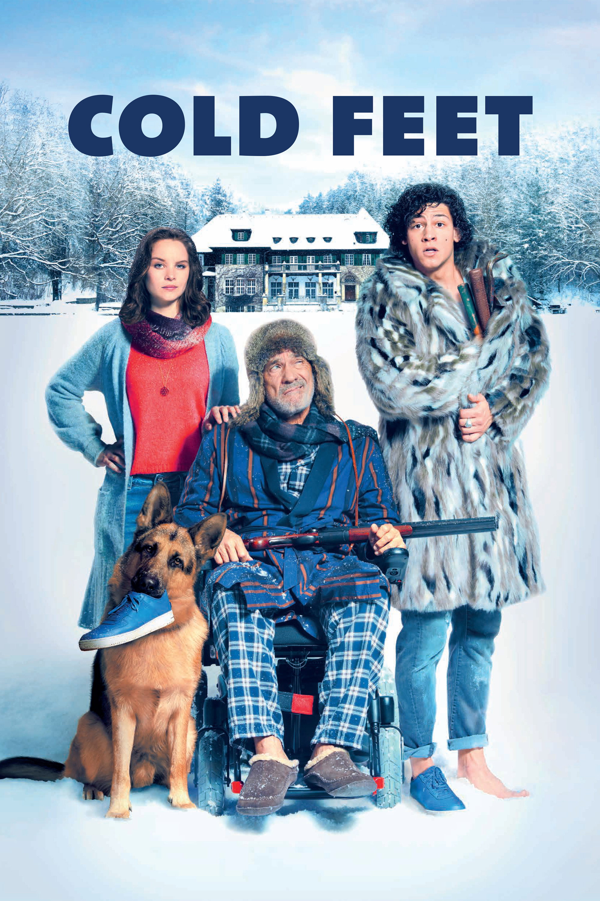 Cold Feet (2018) poster