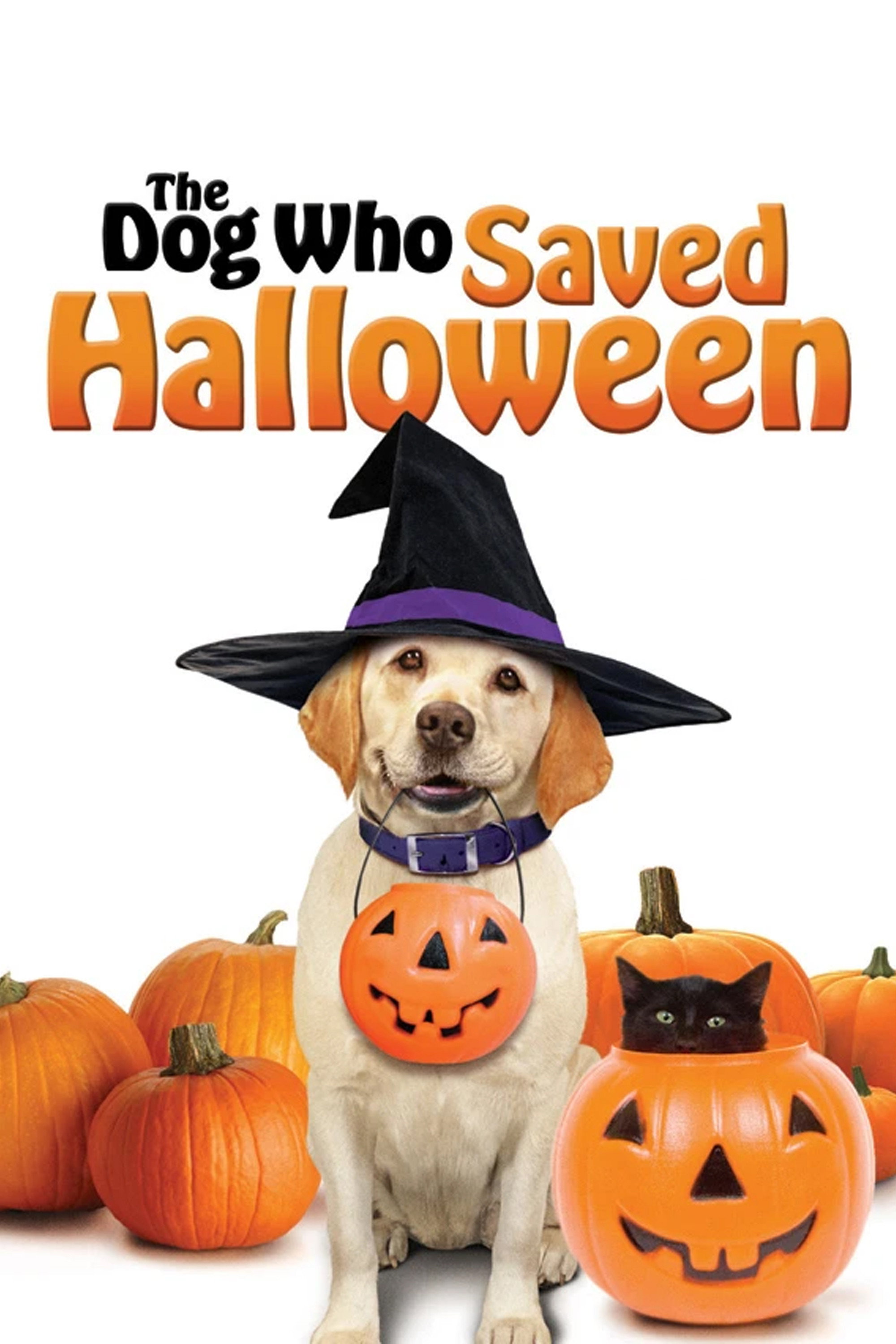 The Dog Who Saved Halloween (2011) poster