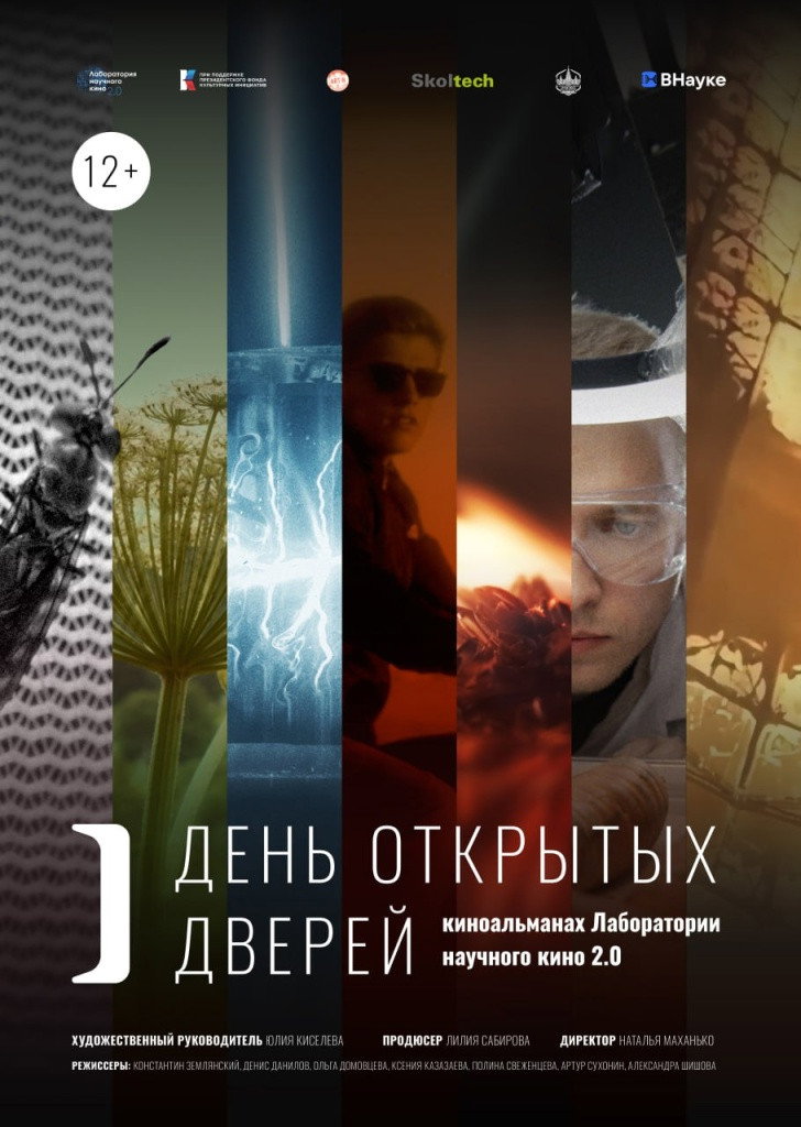 Open Day (2024) poster
