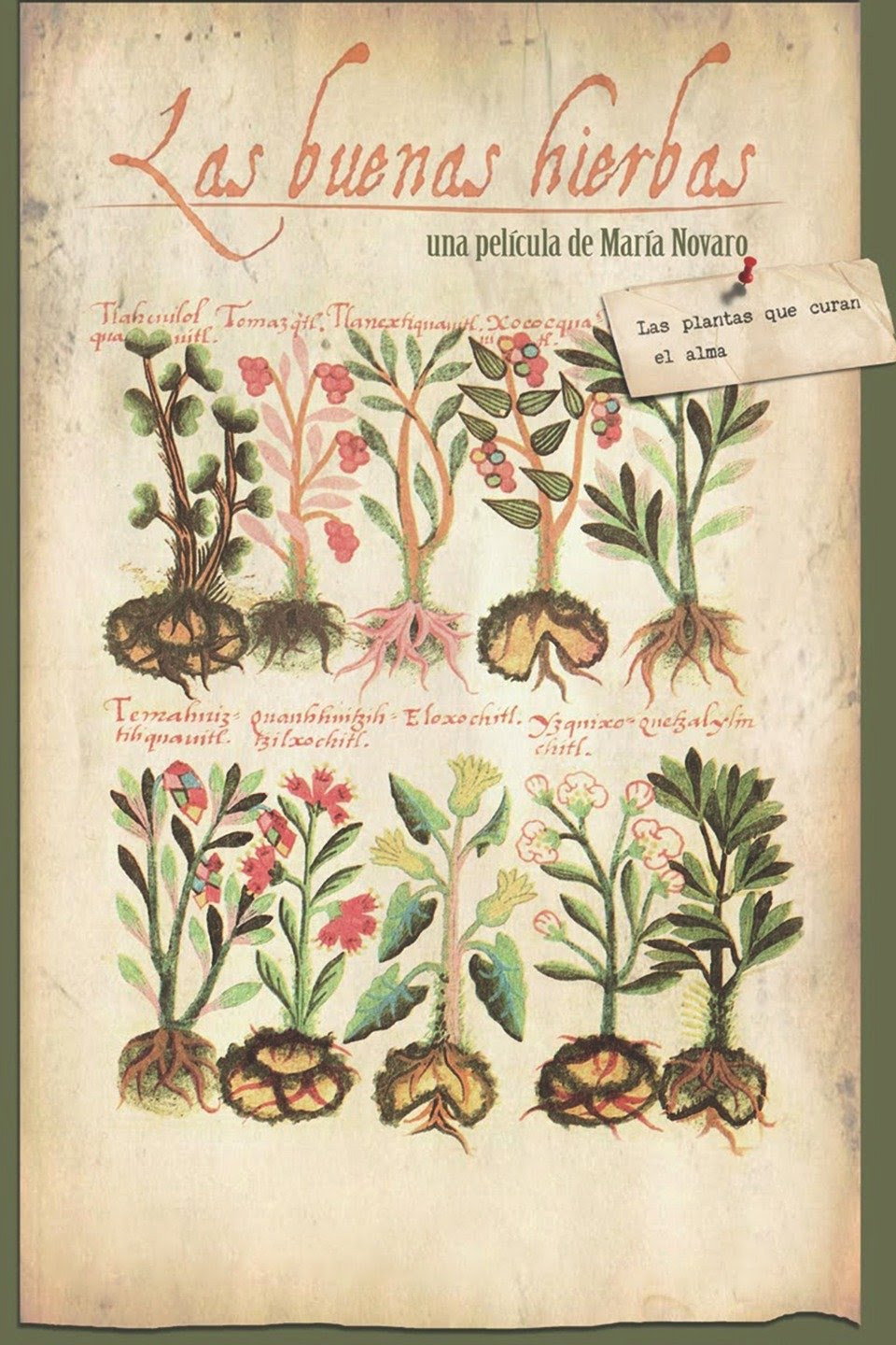 The Good Herbs (2010) poster