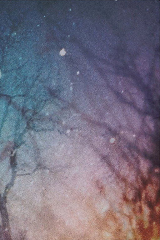 Attic Windows of the Infinite (2022) poster