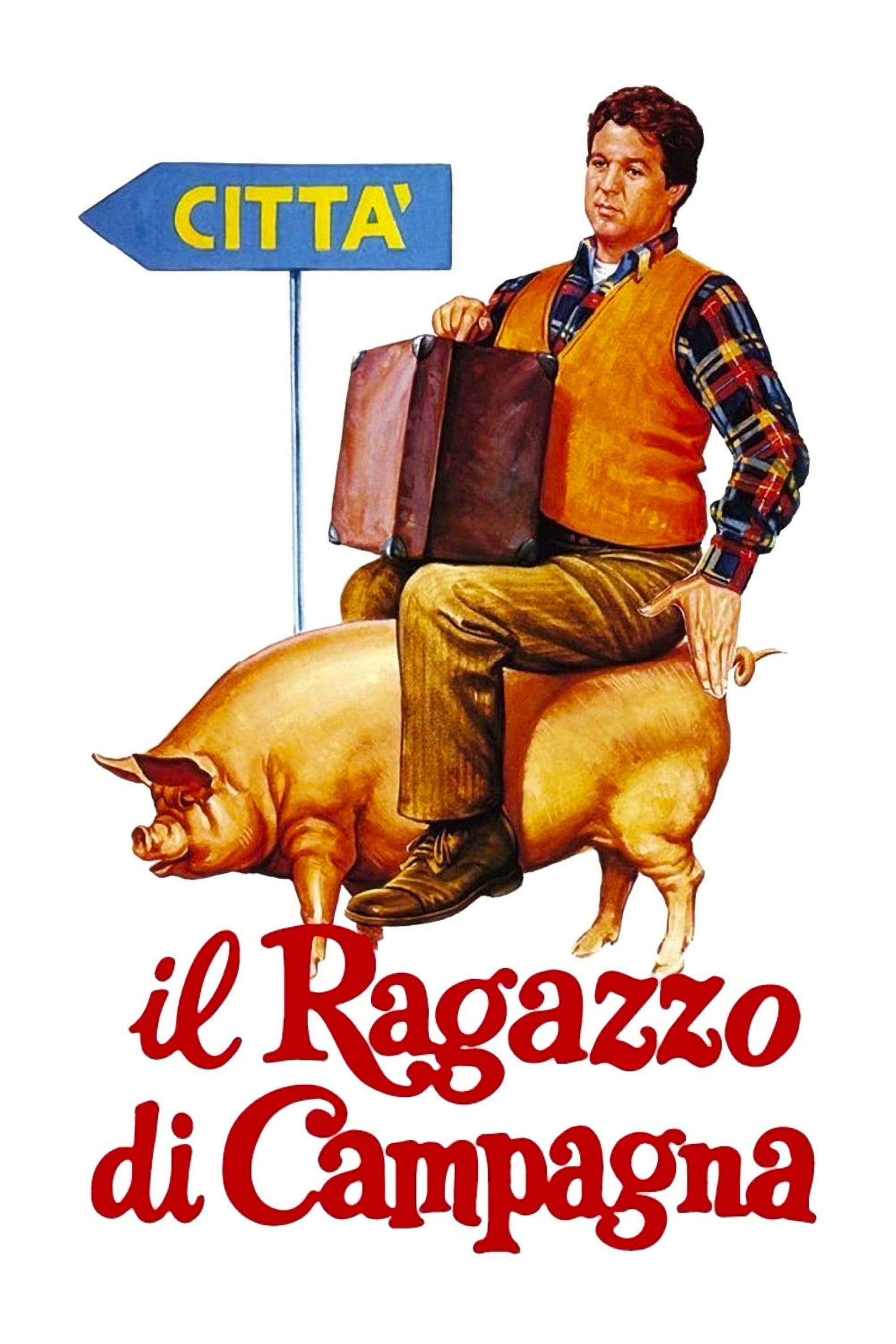 The Country Boy (1984) poster