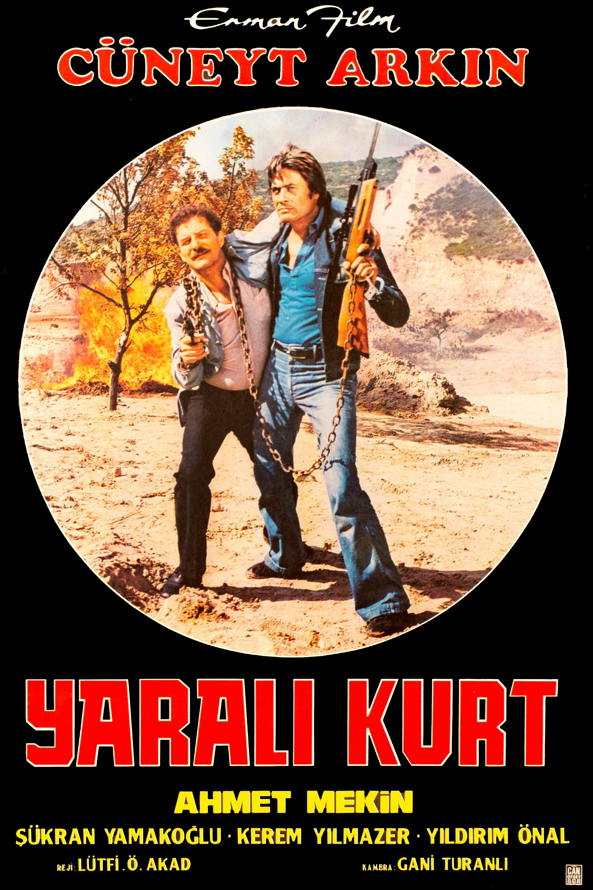The Wounded Wolf (1972) poster