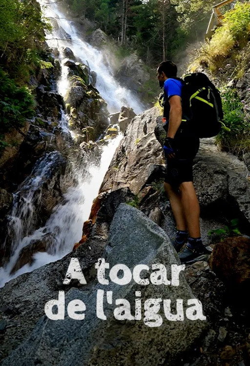 A tocar de l'aigua (2024) poster