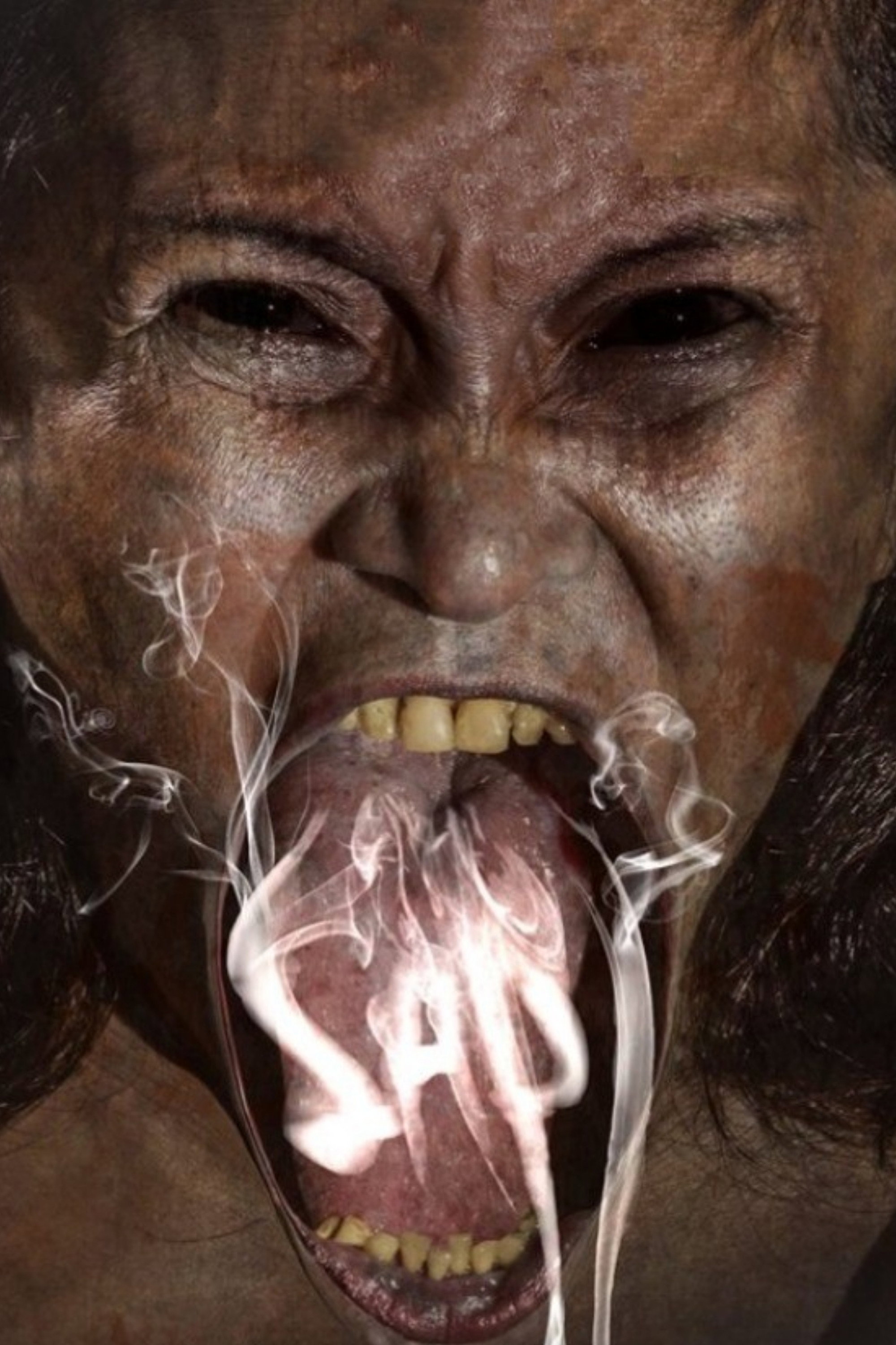 Possession (2013) poster