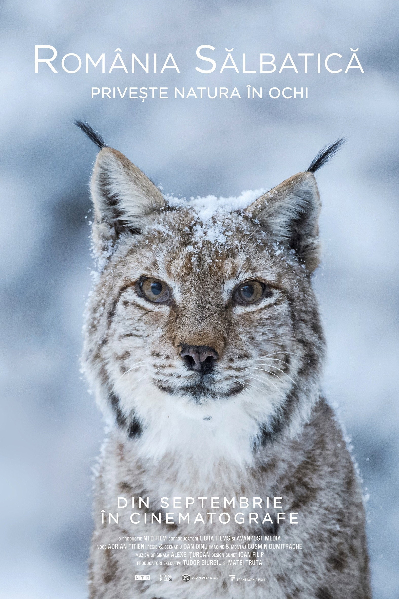 Wild Romania (2021) poster