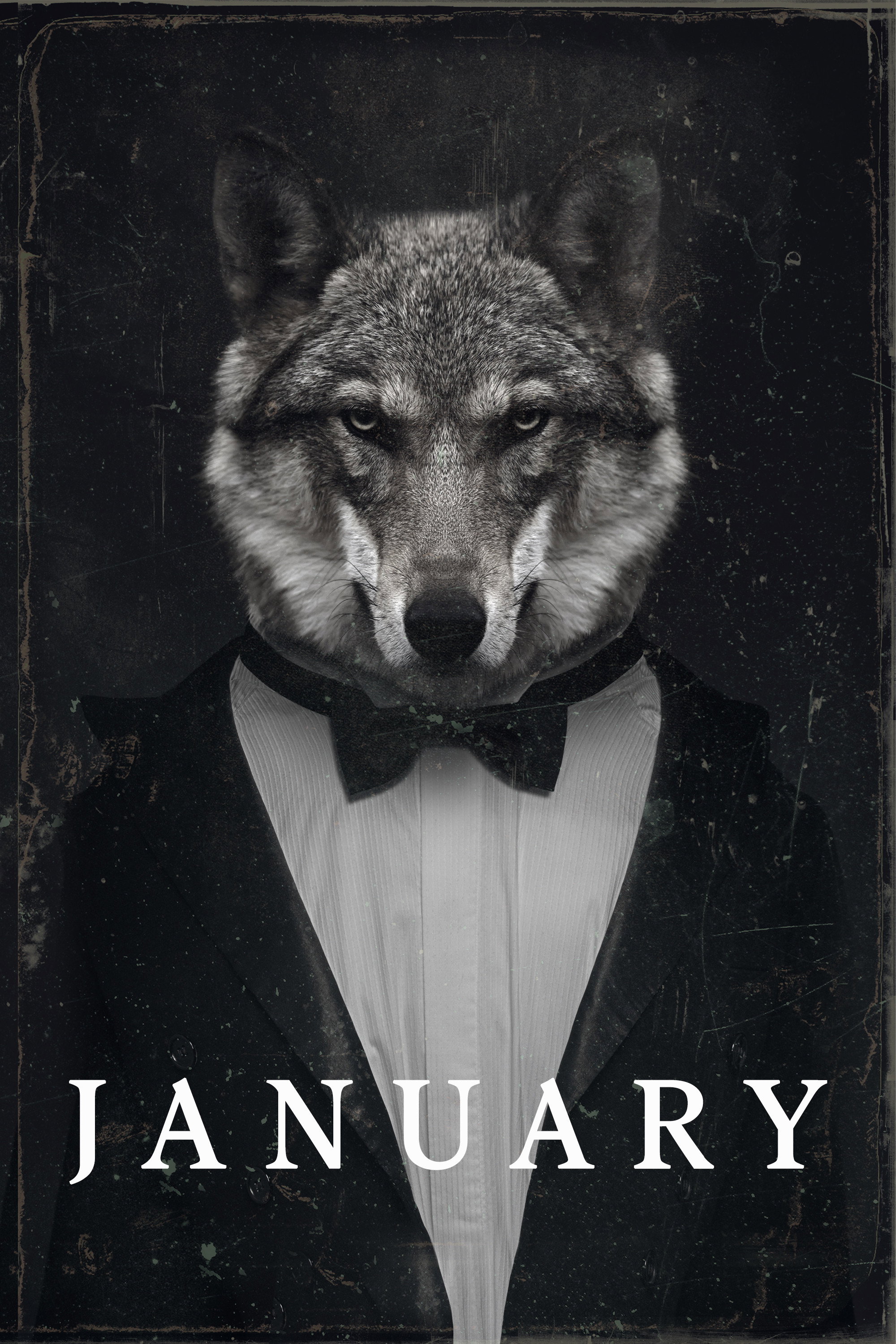 January (2023) poster