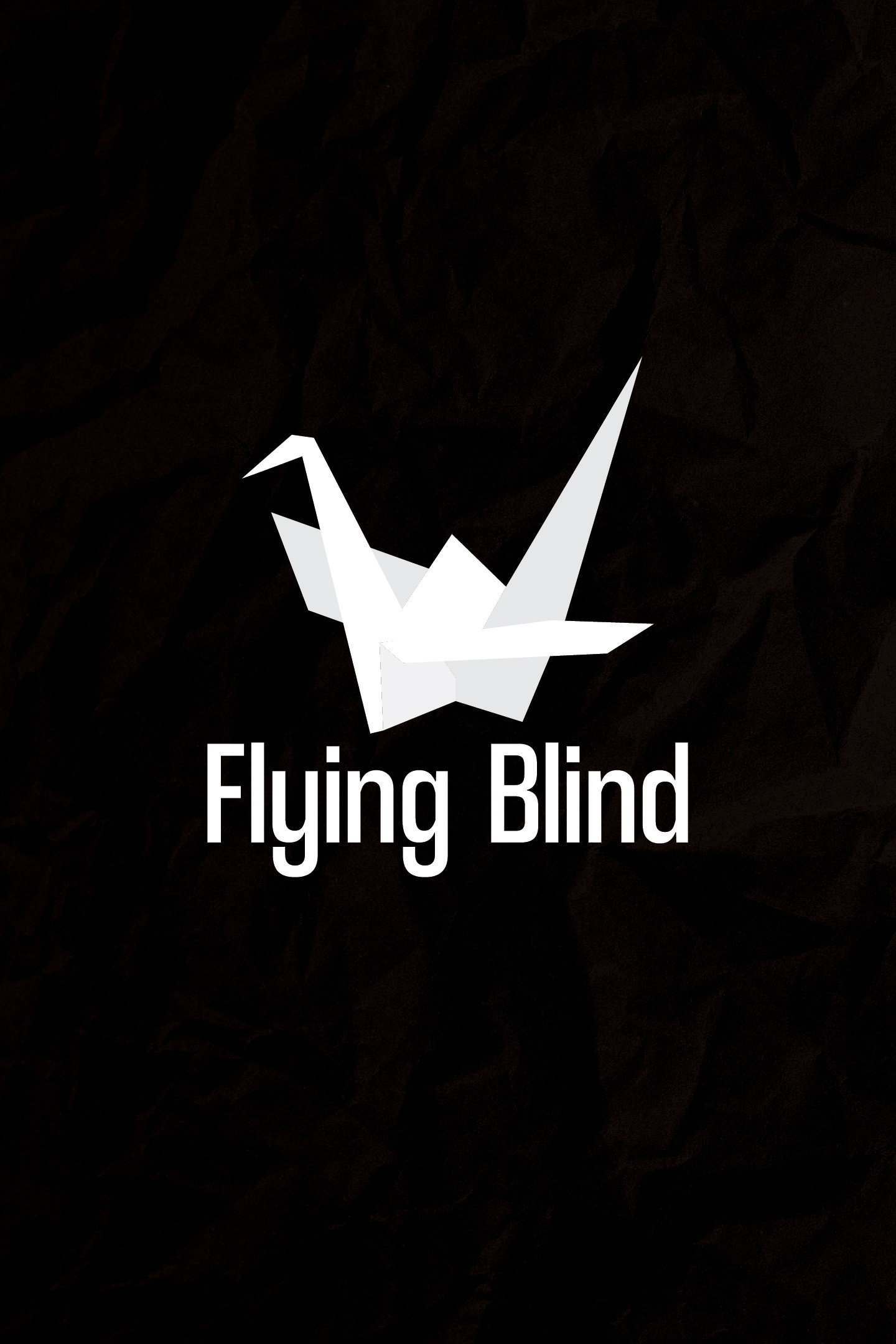 Flying Blind (2020) poster