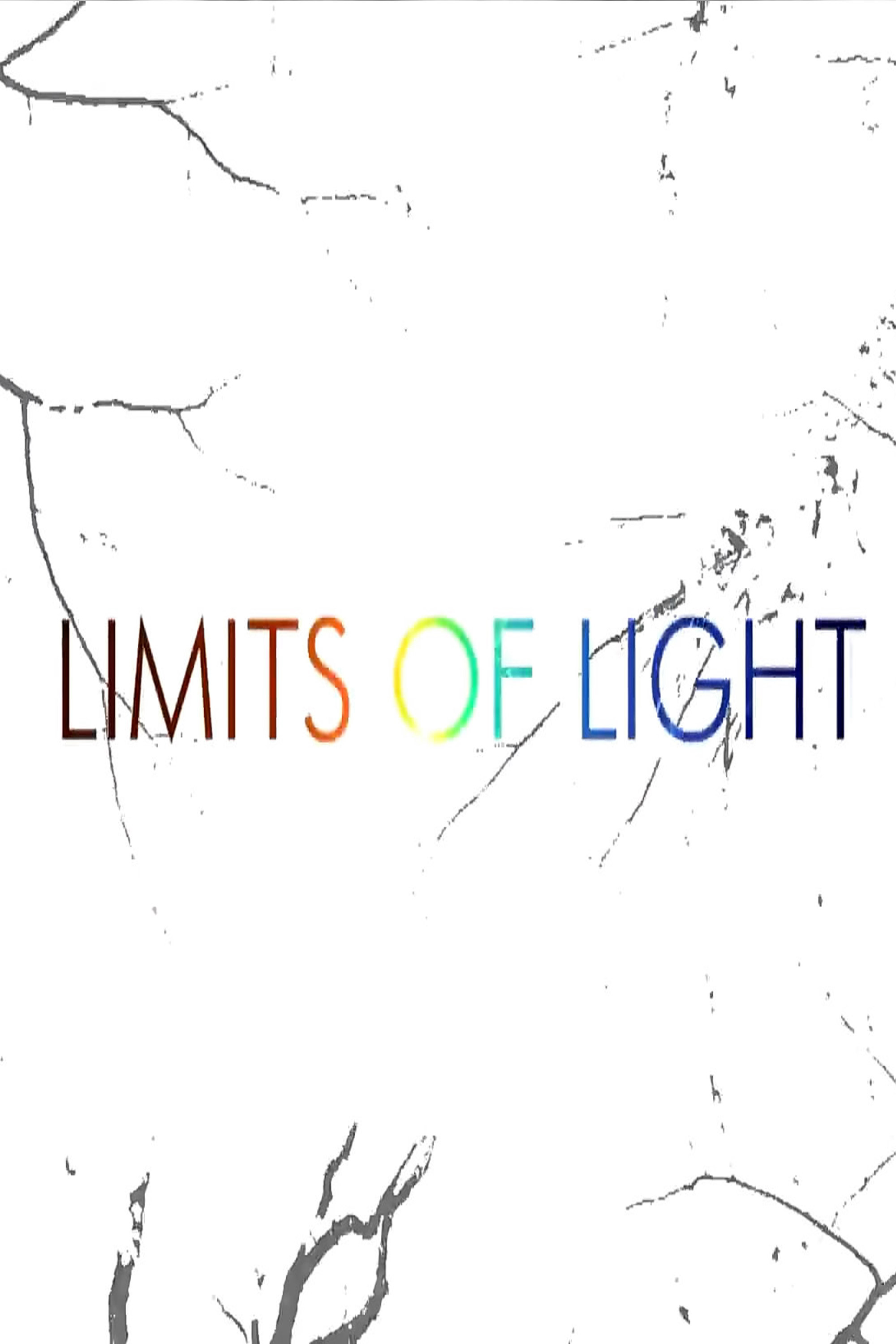 Limits of Light (2011) poster