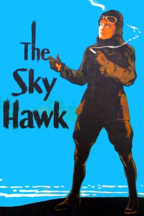 The Sky Hawk (1929) poster
