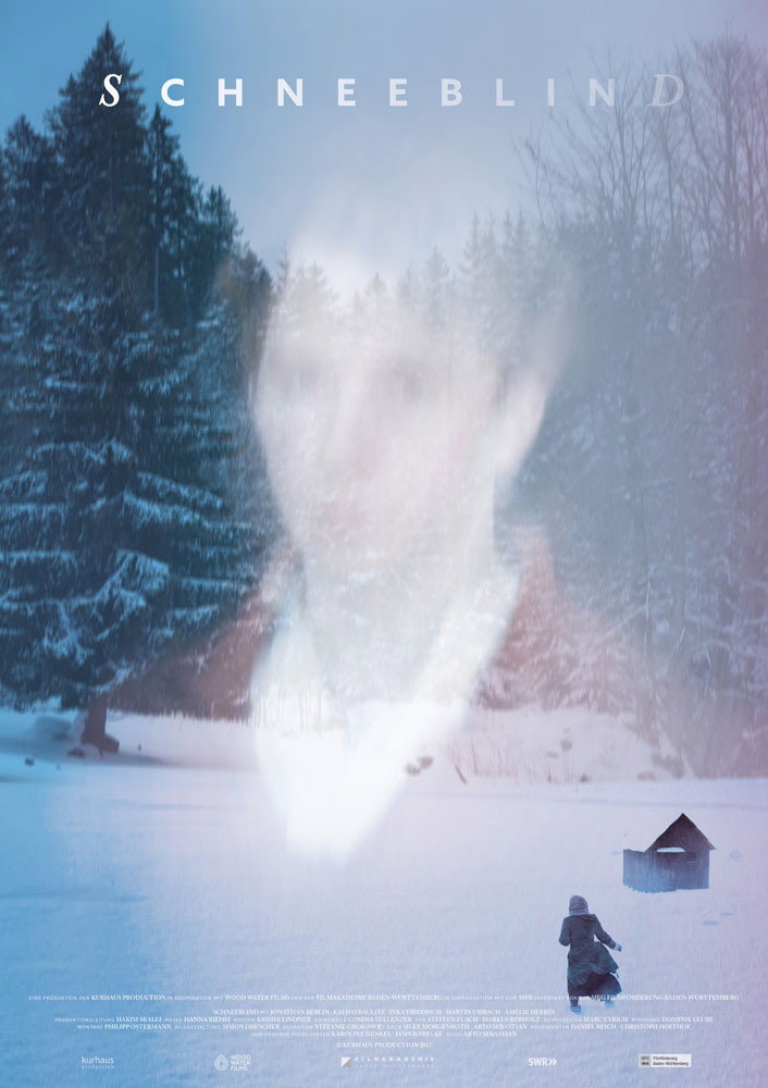 Snowblind (2017) poster