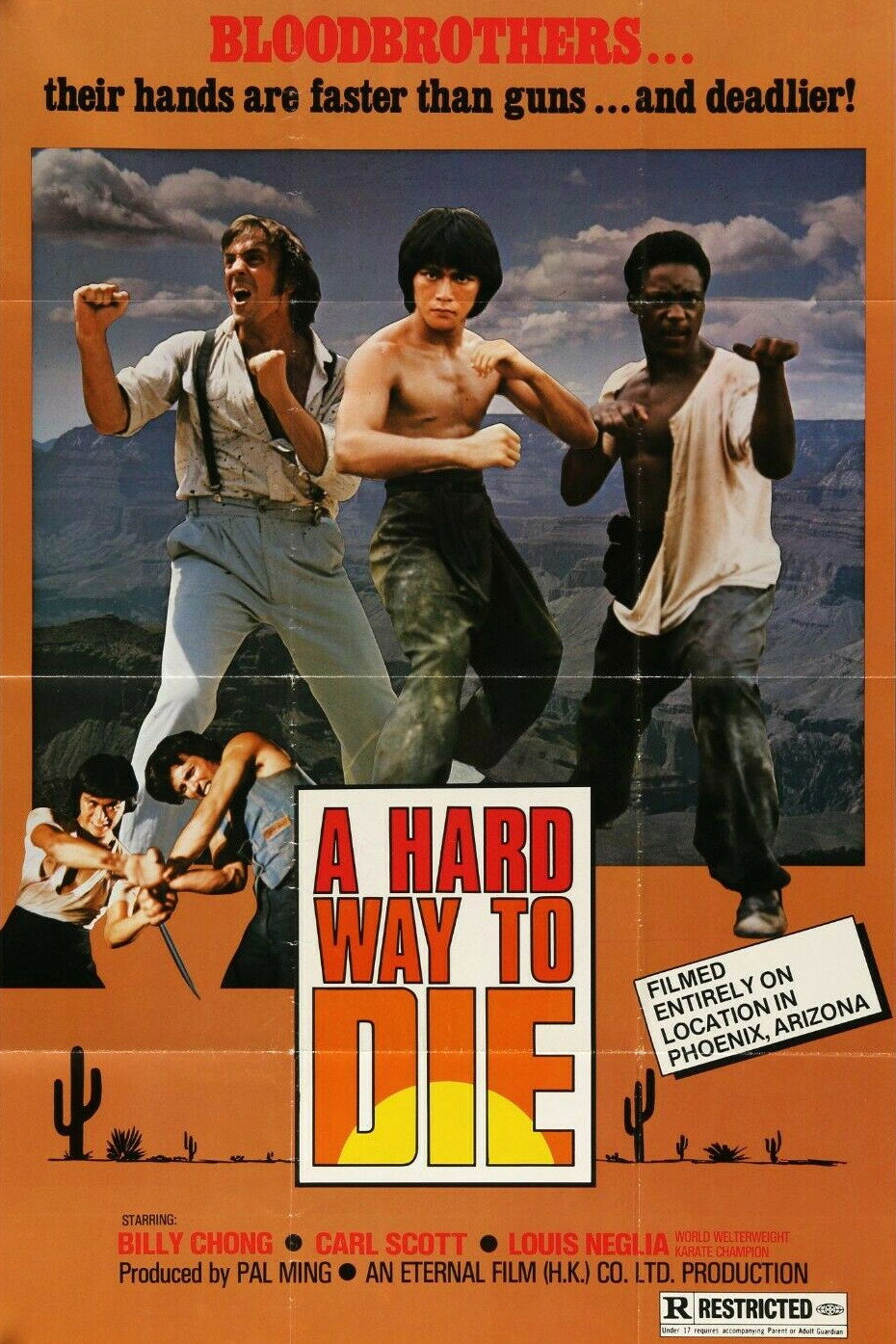 Sun Dragon (1979) poster