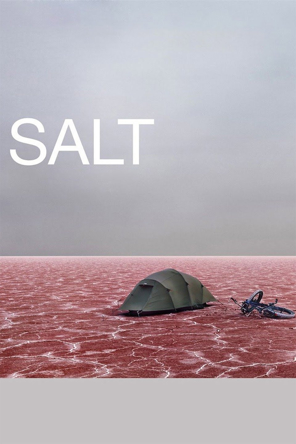 Salt (2009) poster