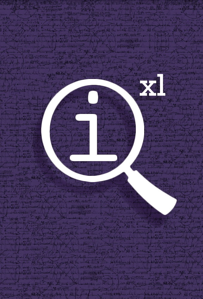 QI XL (2009) poster