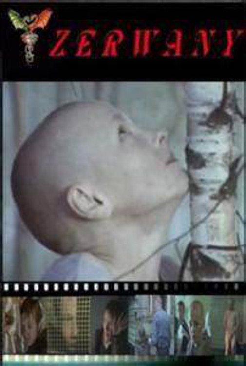 Torn (2003) poster