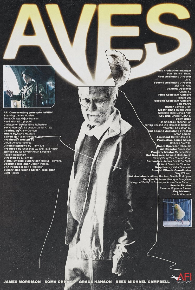 Aves (2023) poster