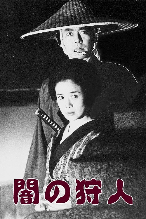 Dark Hunter (1994) poster