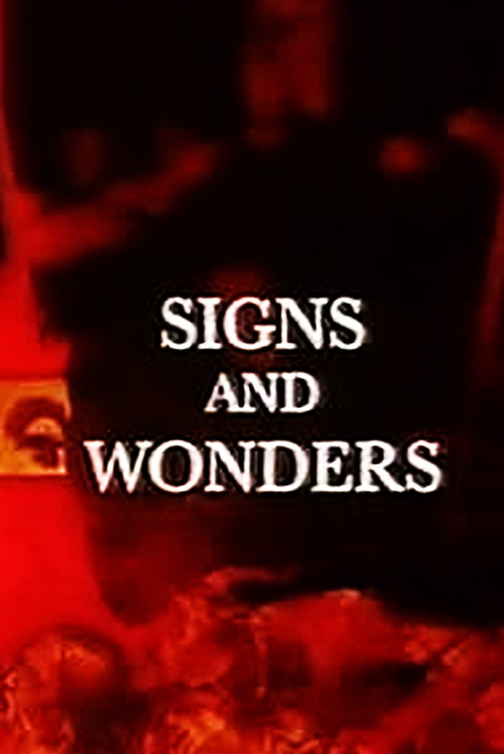 Signs and Wonders (1995) poster