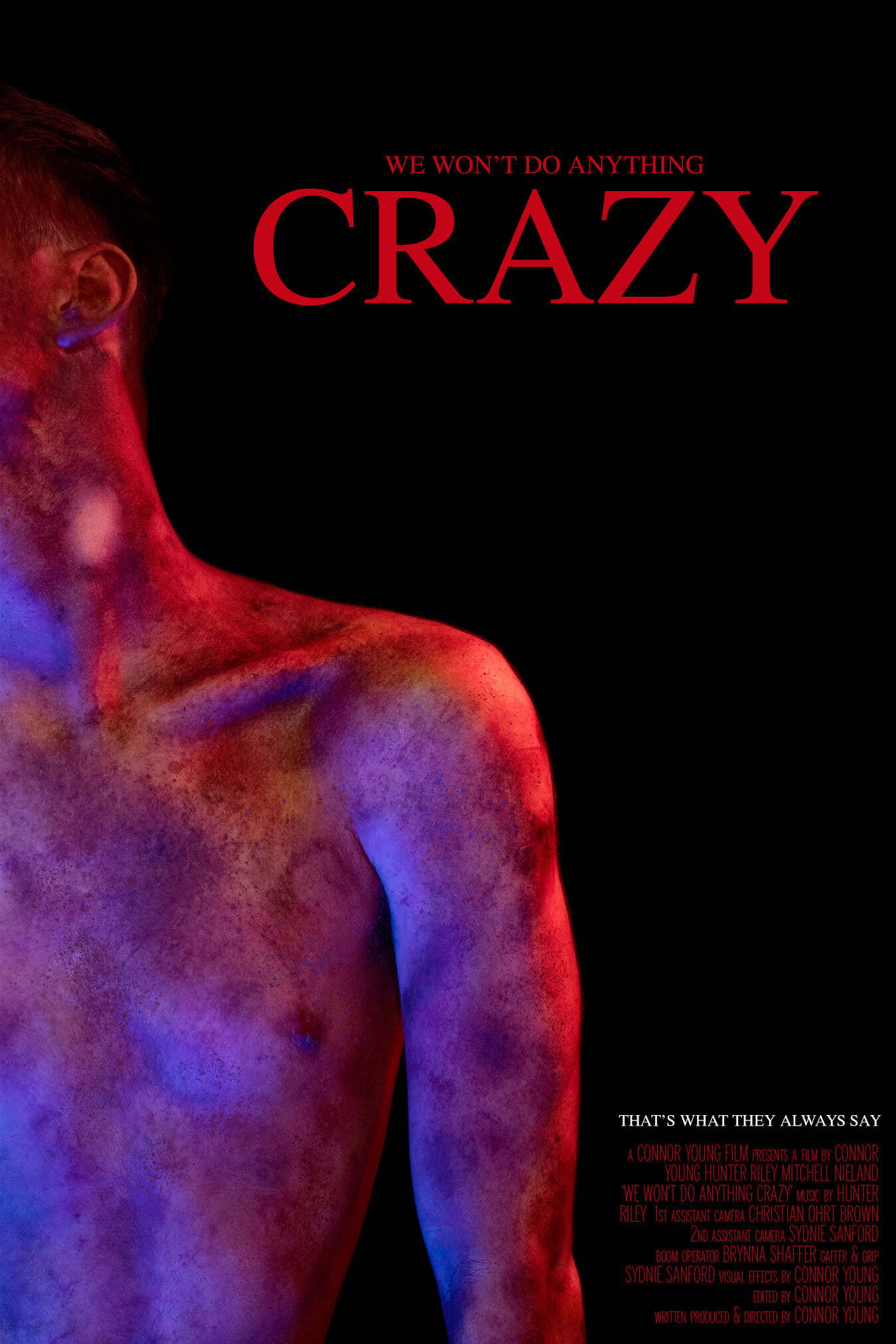 We Won't Do Anything Crazy (2021) poster