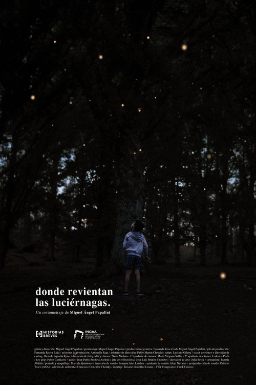 Where the fireflies burst (2024) poster