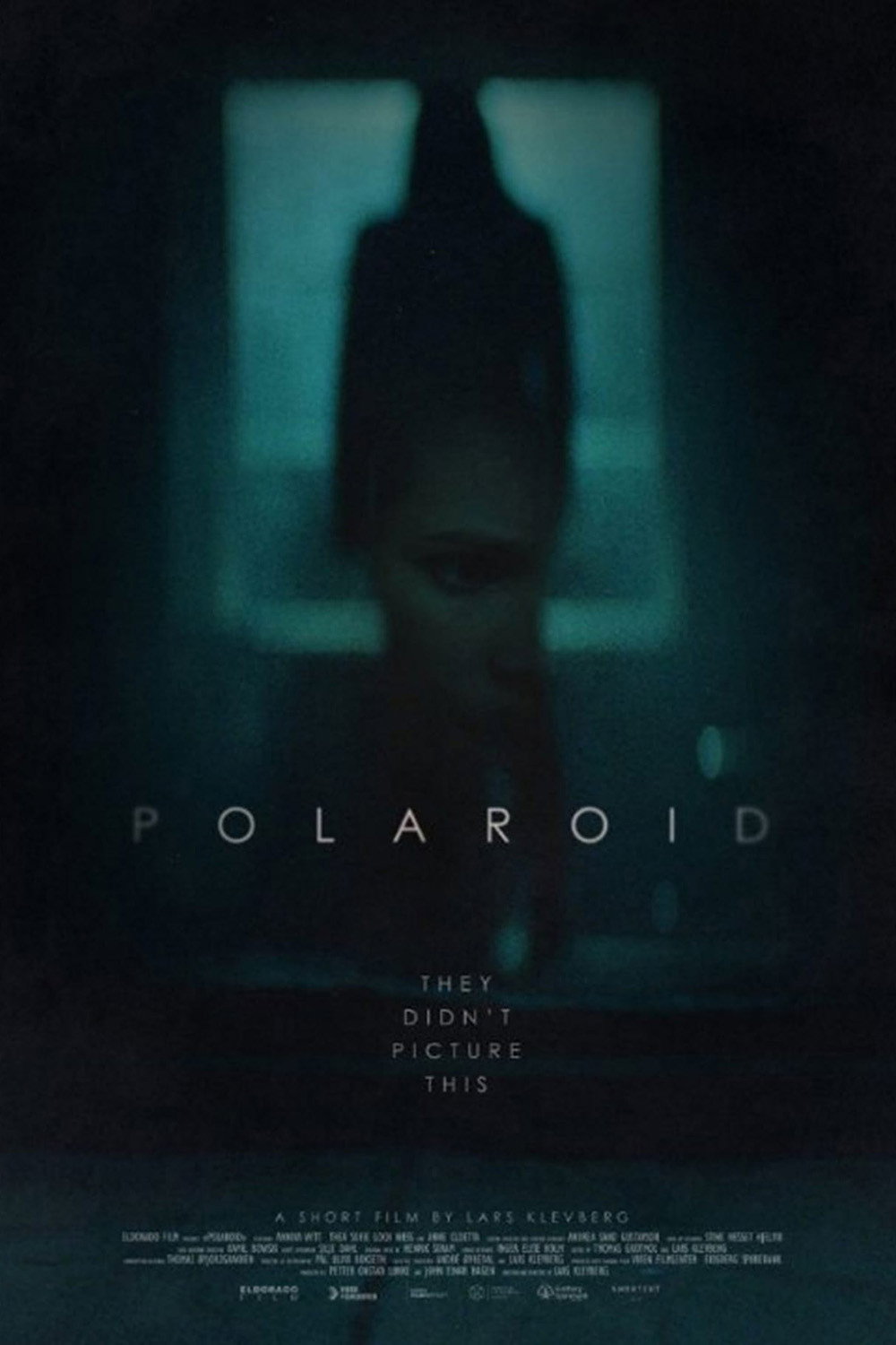 Polaroid (2015) poster