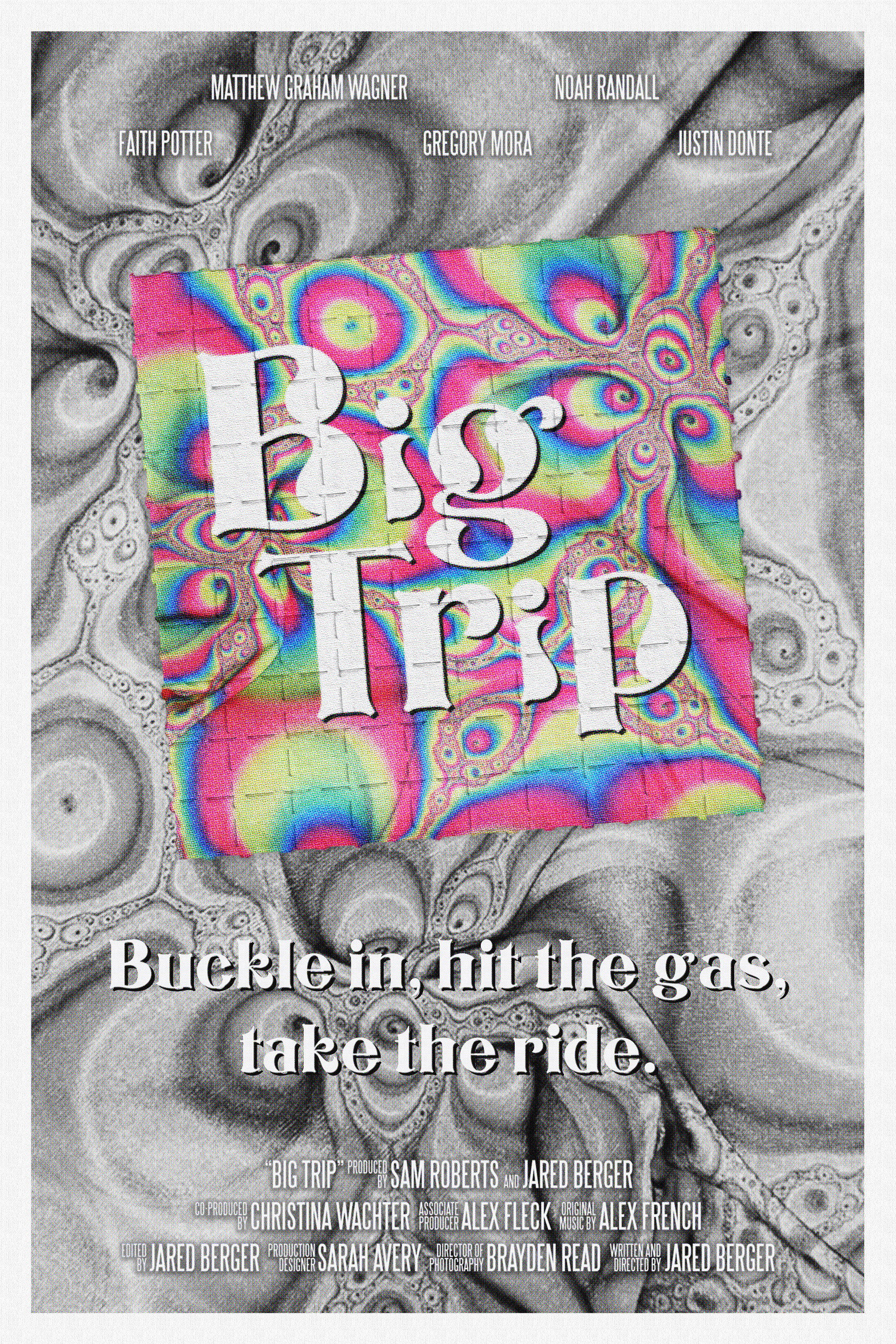 Big Trip (2024) poster