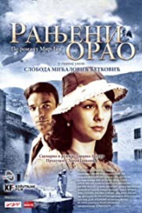 Wounded Eagle (2008) poster