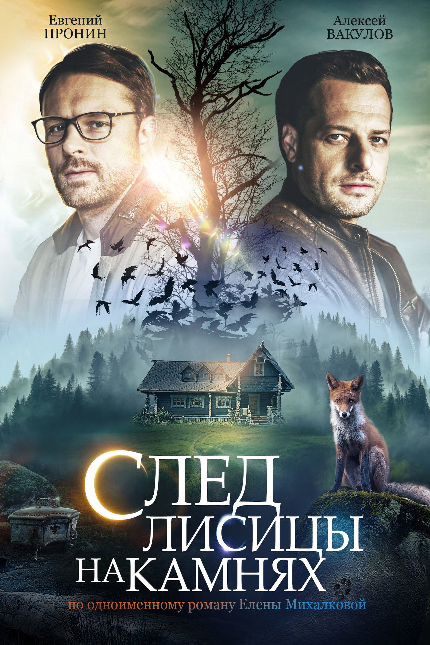 След лисицы на камнях (2019) poster