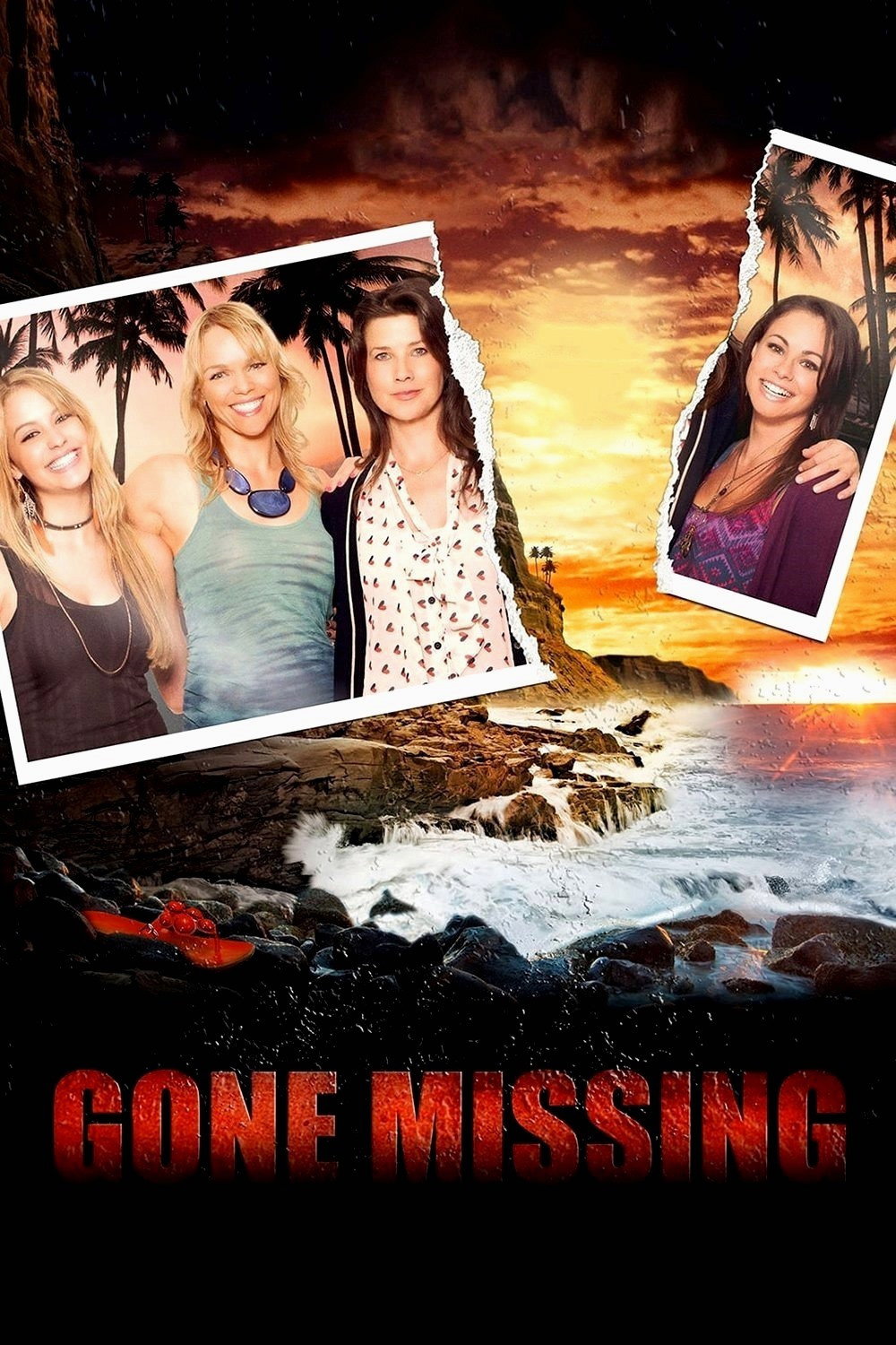 Gone Missing (2013) poster