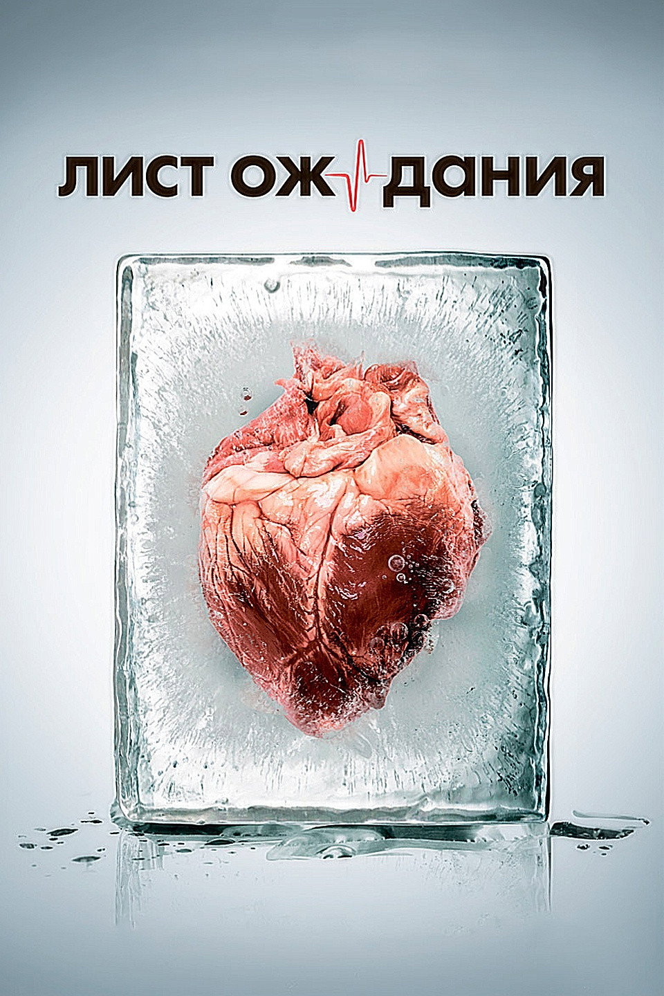 Лист ожидания (2012) poster