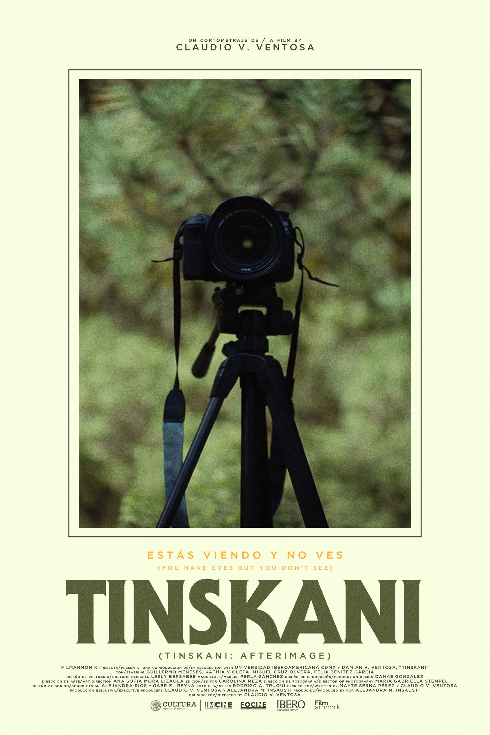 Tinskani: Afterimage (2026) poster